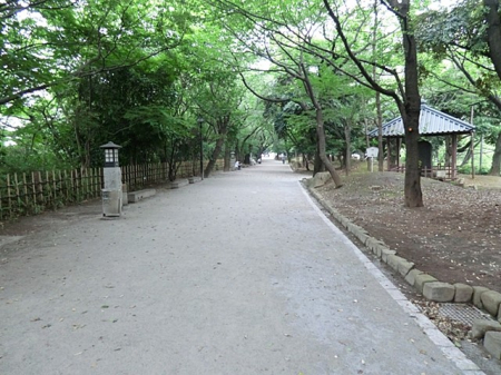 ���ӊ��@���� 300m �򒹎R����