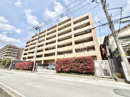 ���n�O�ώʐ^�@����z���ł��Ƒ��̏Ί���P�� 