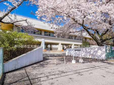 ���ӊ��@�R���r�j 300m �Z�u��-�C���u�� �t�����L���U���ړX