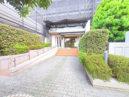 �G���g�����X�@-