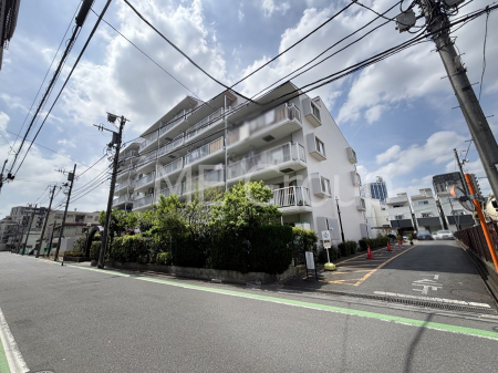 ���n�O�ώʐ^�@����z���ł��Ƒ��̏Ί���P��