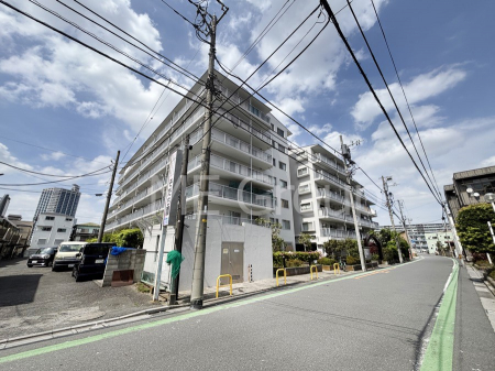 ���n�O�ώʐ^�@��������n�܂�V�����������������܂�