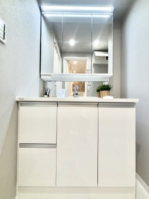 ���ʑ�E���ʏ��@���[�͂Ƌ@�\���ɗD�ꂽ���ʉ��ϑ�   