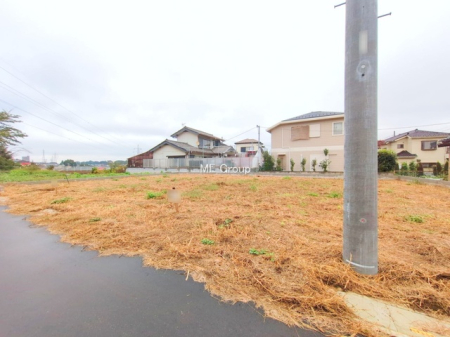 ���n�y�n�ʐ^�@-