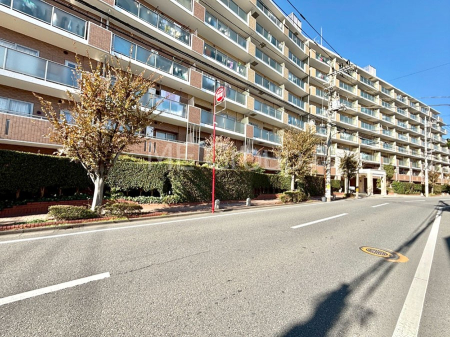 ���n�O�ώʐ^�@��Ƃ肪�Ί�𐶂ސS�n�悢���� 