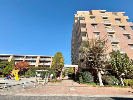 ���n�O�ώʐ^�@����z���ł��Ƒ��̏Ί���P�� 