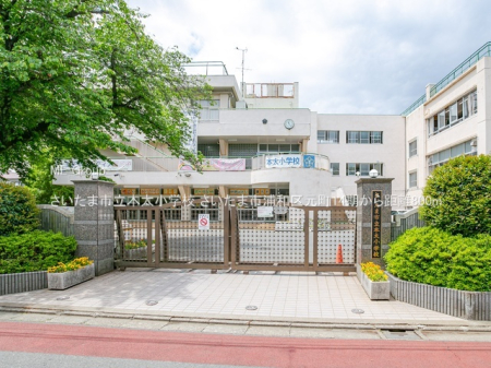 ���ӊ��@���w�Z 800m �������܎s���{�����w�Z