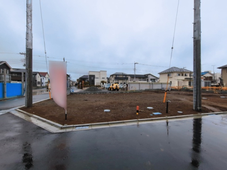 ���n�y�n�ʐ^�@-