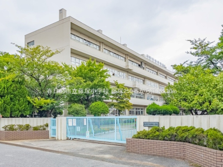 ���ӊ��@���w�Z 330m �t�����s�����ˏ��w�Z