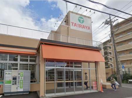 ���ӊ��@�X�[�p�[ 290m TAIRAYA�����O���X