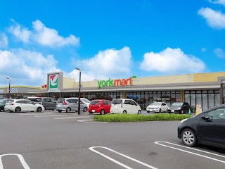 ���ӊ��@�X�[�p�[ 800m ���[�N�t�[�Y ���̗t�����X