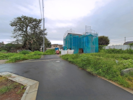 ���ӊ��@�w 3160m �����S���u�V����v�w
