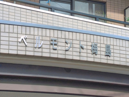 �G���g�����X�@-