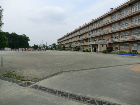 ���ӊ��@���w�Z 2000m ��z�s���������w�Z