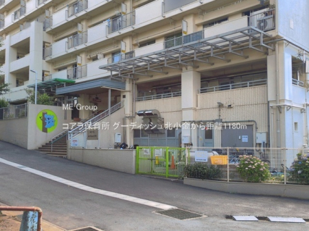���ӊ��@�c�t���E�ۈ牀 1180m �R�A���ۈ珊