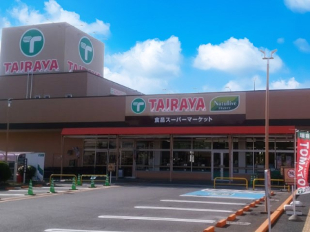 ���ӊ��@�X�[�p�[ 720m TAIRAYA-�Y�a�h�a�X